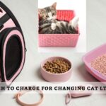 how much to charge for changing cat ltter box