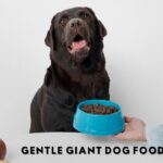 gentle giant dog food