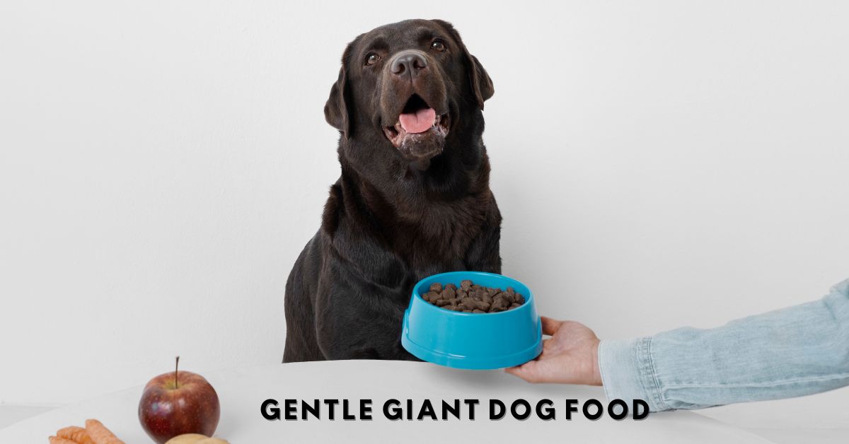 gentle giant dog food